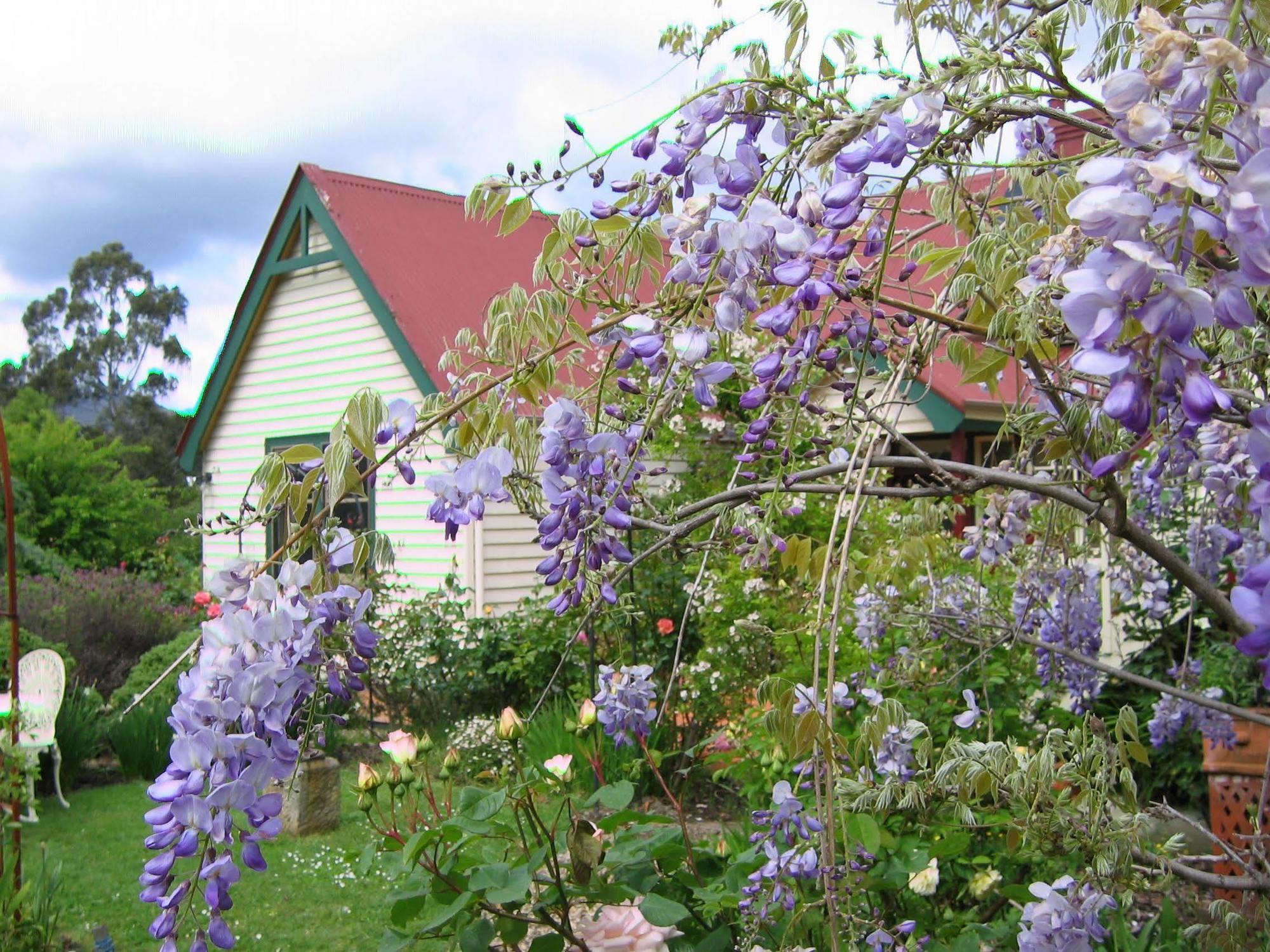 Crabtree House Bed & Breakfast Grove Exterior foto