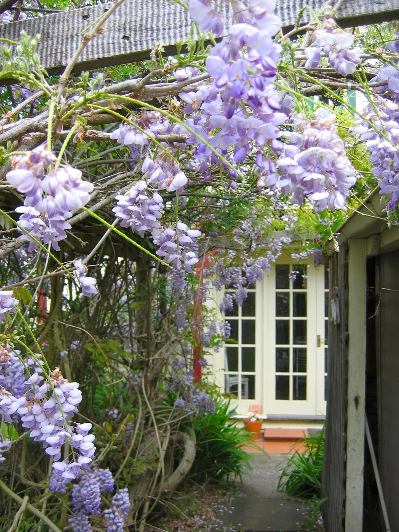 Crabtree House Bed & Breakfast Grove Exterior foto