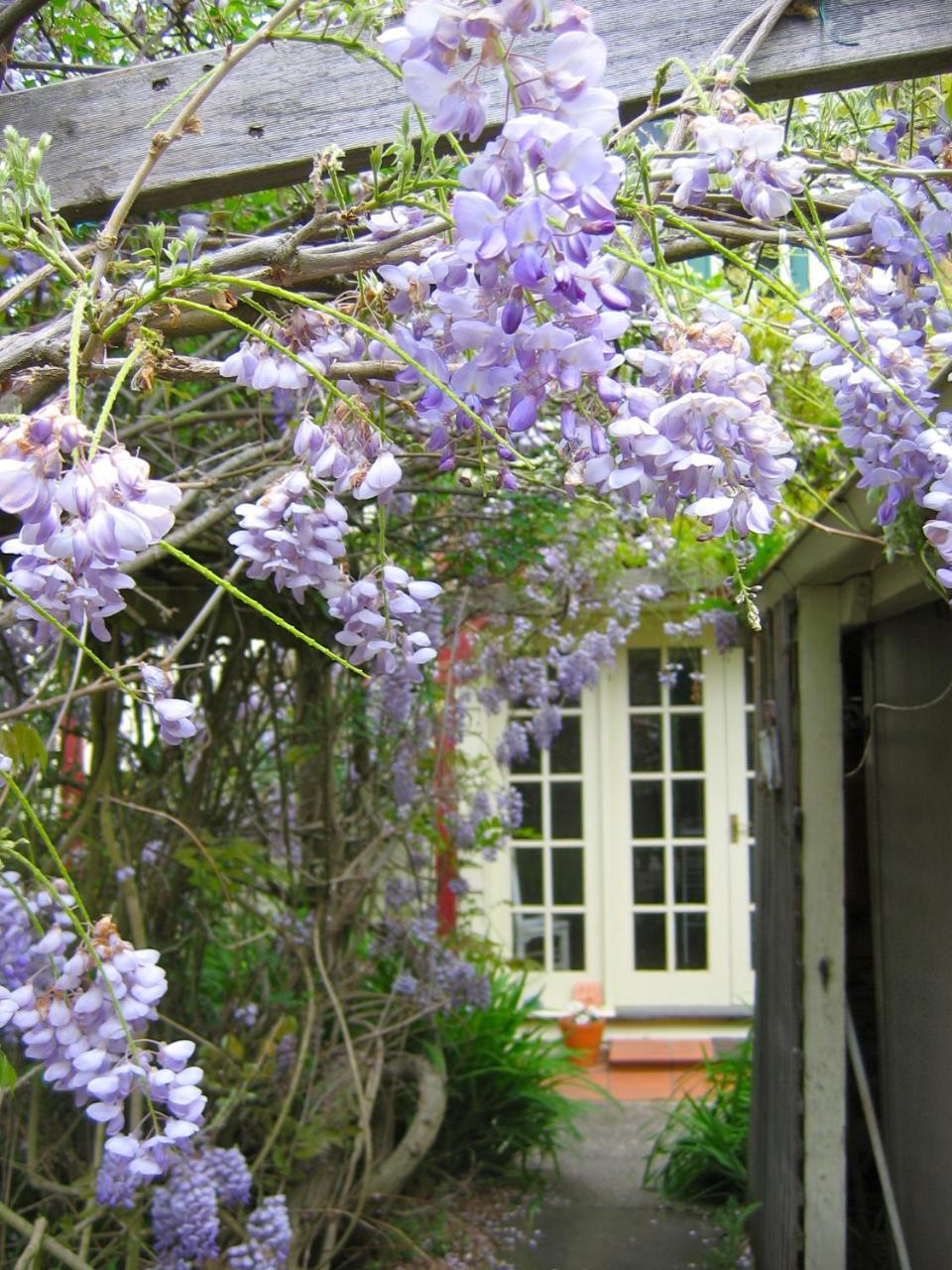 Crabtree House Bed & Breakfast Grove Exterior foto